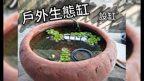 戶外養魚風水